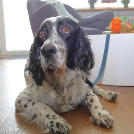 Lägenhet Atlantik-65-kohfahl *